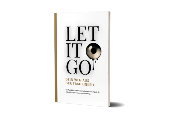 Cover Letitgo